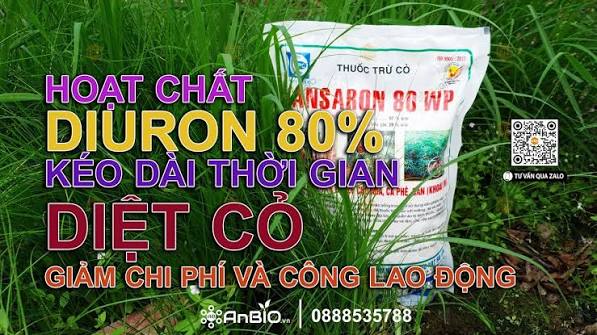 Ansaron 80WP