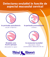 * care sunt semnele că ești însărcinată. 9 Simptome De Ovulatie