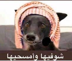 pin by najdeyah ali on سعيد خدامه غازي ولدعطيه teddy bear teddy bear