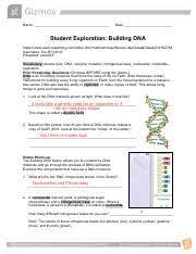 Get instructions on how to set up, pair and access features for explore learning gizmo answer key fall tower explorelearning gizmos: Gizmo Building Dna Pdf Name Date Student Exploration Building Dna Https Www Explorelearning Com Index Cfm Method Cusersecure Dspclass Classid 4182748 Course Hero