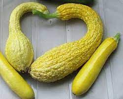Maybe you would like to learn more about one of these? Top 10 Crookneck Squash Nutrition Facts And Health Benefits