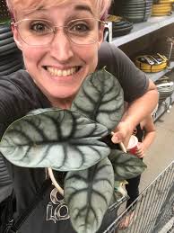 I found a silver dragon at Walmart!! It was the only one, too!