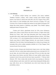 Image result for Thesium magnifructum