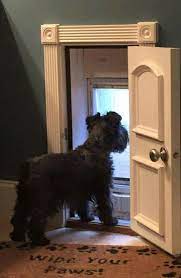 Pin By Sharon Garner On New House Ideas Dog Rooms Diy Dog Stuff Dog Door