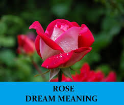 The dream about gorgeous flowers, whether outdoor or indoor, suggests personal happiness and indicates you will have good luck, make a fortune and live happily. Rose Dream Meaning Top 25 Dreams About Roses Dream Dictionary