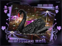 Résultat de recherche d'images pour "gif bonne nuit chat magique"