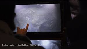Families of the crewman on the missing argentine submarine say loved ones aren't being told anything. Missing Argentina Submarine First Images Emerge Of Wreckage Found At Bottom Of Ocean After A Year 6abc Philadelphia