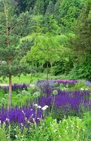 Bad Iburg Kneipp Erlebnispark Erlebnis Teutoburger Wald Osnabrucker Land