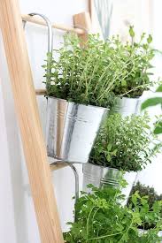 Diy Anleitung Krauterleiter Selber Bauen Platzsparende Pflanzidee Fur Kuchenkrauter Krautergarten Drinnen Krauterleiter Pflanzideen