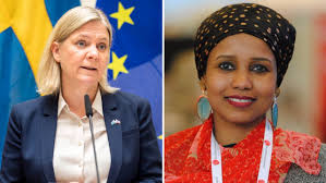 Saida Hussein Moge, S, lämnar efter orden om ”somalitown”