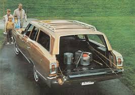 Image result for Sand Pebble Beige 1969 Plymouth