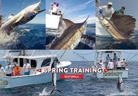 Have No Fear Spring Training Is Here Fishing Reports Tournament Info And Much More Spring Training Train Fear