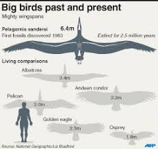 Wingspan largest flying bird ever. Blogt Na Valentint Encyclopedia Largest Prehistoric Animals Vol 1 Vertebrates Part2 Birds Ch 3 Flying Giant