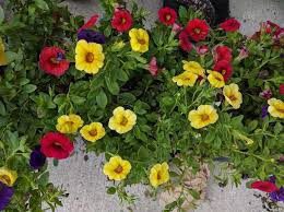 We did not find results for: Produce Junction 14 Willow Rd Maple Shade Township Nj 08052 Usa