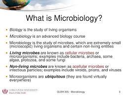 The Science Introduction Ppt Download
