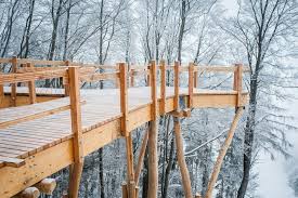 Tej operacji nie można cofnąć. Tak Wyglada Pierwsza Polska Trasa W Chmurach W Krynicy Zdroju Powstaje Sciezka W Koronach Drzew Foto