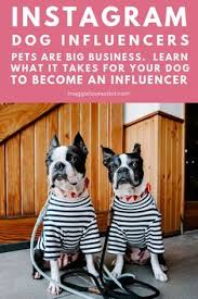 Maybe you would like to learn more about one of these? 80 Dog Influencers On Instagram Ideas Famous Dogs Dogs Pooch