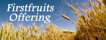 images?q=tbn:ANd9GcTC5FjgYpiH7r3EBiBoVEHMMDWD9-whbDnc1YCSm0Q7h3WnF093zQ