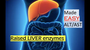 Berg keto consultant today and get the help you need on your journey. What Does It Mean Raised Liver Enzymes Liver Function Test Alt Ast Alp Youtube