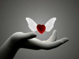 Colourless Art And A Red Heart Whatsapp Profile Picture Heart With Wings New Moon September