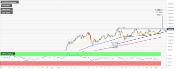Ethereum bull run 2021 it is clear that interest in ethereum is currently high. Top 3 Price Prediction Bitcoin Ethereum Ripple Bitcoin Swings Toward 40 000 Teasing Another Crypto Bull Run Forex Crunch