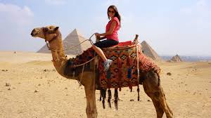 Day of the dead is a 1985 horror film by director george a. 1 Hour Camel Ride Trip At Giza Pyramids Book Egypt Cheap Tours Sightseeing Trips Activities Best Things To Do