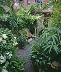Gartenideen Mit Tropen Flair Tropische Garten Tropische Landschaftsgestaltung Gartendesign Ideen