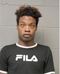 ᐅ Illinois Criminal Records 2009-2025