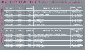 5 Steps To Color Formulation Style Styling Framesi