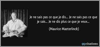Ami, si tu tombes un ami sort de l'ombre à ta place. Je Ne Sais Pas Ce Que Je Dis Je Ne Sais Pas Ce Que Je Sais Je Ne Dis Plus Ce Que Je Veux