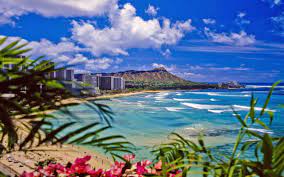 We did not find results for: Waikiki Hawaii Wallpapers Top Free Waikiki Hawaii Backgrounds Wallpaperaccess
