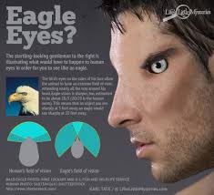 What If Humans Had Eagle Vision?