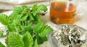 Breast Milk Herbs Alcohol Caffeine Marijuana And Nicotine Interactions Babycenter