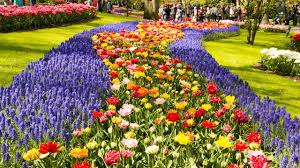 Nicht in venlo aber ganz in der nähe eurohandelsonderneming.nl. Thetravellers Extra Keukenhof Youtube