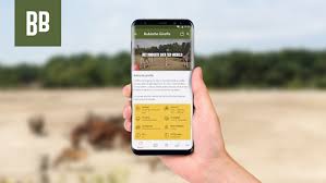 In het hoogseizoen werken hier ongeveer 400 medewerkers verdeeld over. Download Beekse Bergen Apk For Android Latest Version