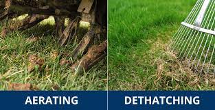 First, set your lawn mower's blades so they're lower than normal. Aerating Vs Dethatching Sod University Sod Solutions