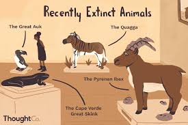 100 Animals That Have Gone Extinct In Recent History En 2020 Animales Extintos Anfibios Animales