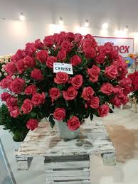 Where To Buy Bulk Flowers Online For Your Wedding Roses Flowers Peonies Wedding Events Bouquets Bulk Flowers Online Flowers Delivered Amazing Flowers