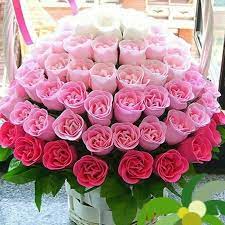 10 Rose Floral Arrangements Rose Floral Arrangements Rose Flower Arrangements Flower Arrangements