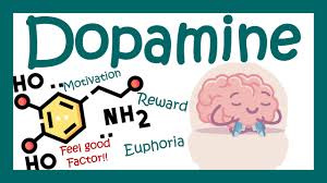 Image result for Dopamine