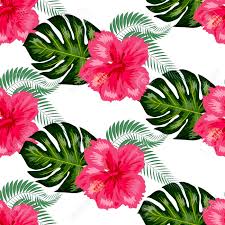 We did not find results for: Tropical Vintage Hibiscus Plumeria Floral Green Leaves Seamless Royalty Free Cliparts Vectors And Stock Illustration Image 126658402