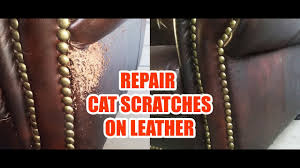 Repairing scratches in fake leather step 1: Cat Scratches Leather Sofa Repair Quick Easy Youtube