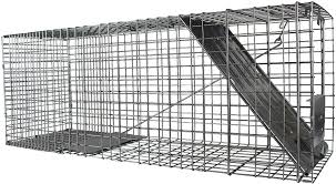 One simple move and the trap is set! Amazon Com Havahart 1079 Large 1 Door Humane Animal Trap For Raccoons Cats Groundhogs Opossums Home Pest Control Traps Garden Outdoor