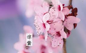 惊蛰节气 传统上为春季，第三个节气。即视太阳 在黄道 上自黄经345°至360°（0°）的一段时间 ，每年3月5日（或6日）开始，至3月20日（或21）结束，约15天。 Ibpkcr84mgjt4m