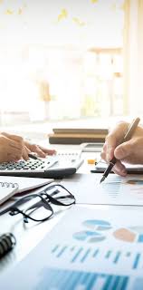 Professional Tax & Accounting Service