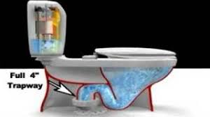 Caroma will not be responsible for any consequential damage or costs where adequate access to product fittings & fixtures is not accessible. Clogged Toilets Water Conservation And Sustainable Living