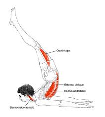 Epingle Par Drishti Yoga International Tea Sur Anatomy Is Fun Exercices De Yoga Etirement Musculation Yoga Du Soir