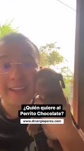 ❤️ El Perrito Chocolate… #drchocolate #doctorchocolate #drsergioperea ...