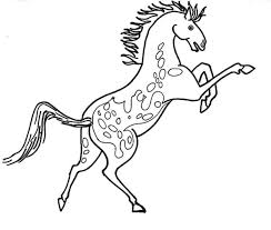 Moreover, drawing a horse is not difficult and there are many samples. Rearing Appalooshorse Coloring Pages Bulk Color