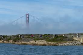 We did not find results for: Best Views In San Francisco Great Waterfront Trail